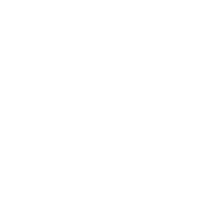 Neuro Vascular
